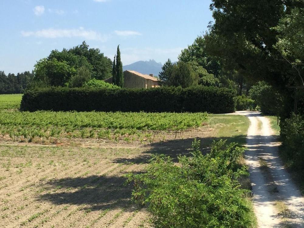 Mas du Clos de l'Escarrat Jonquieres  Exterior foto